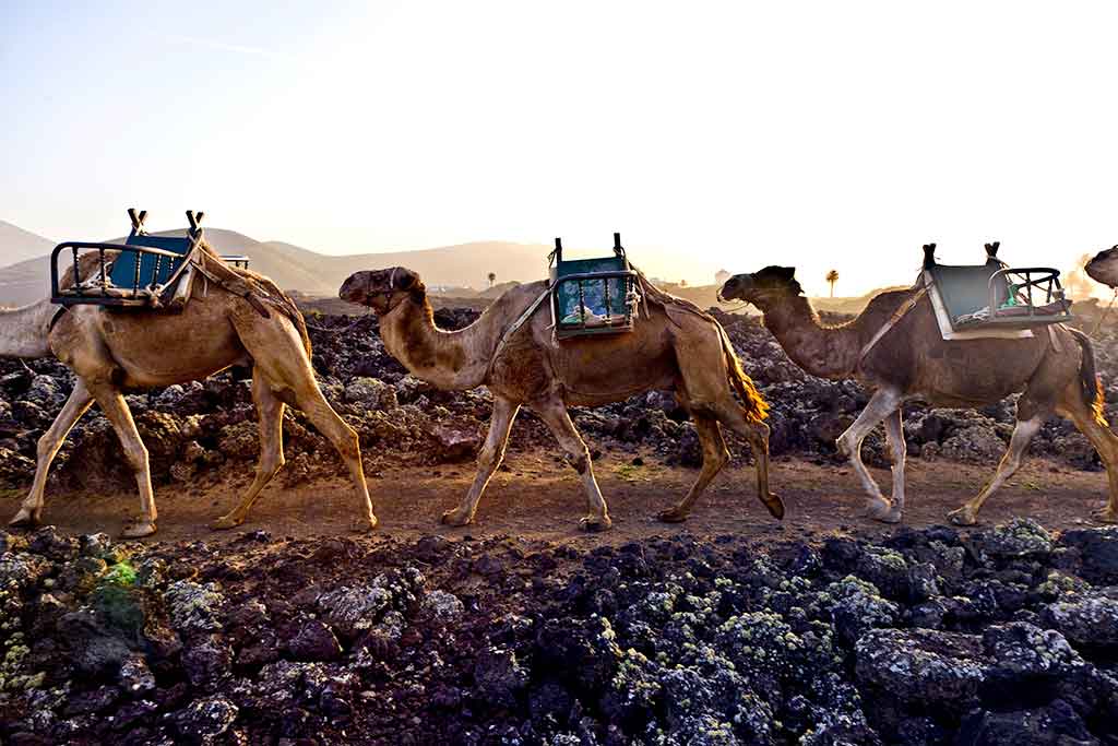 Ruta De Los Volcanes