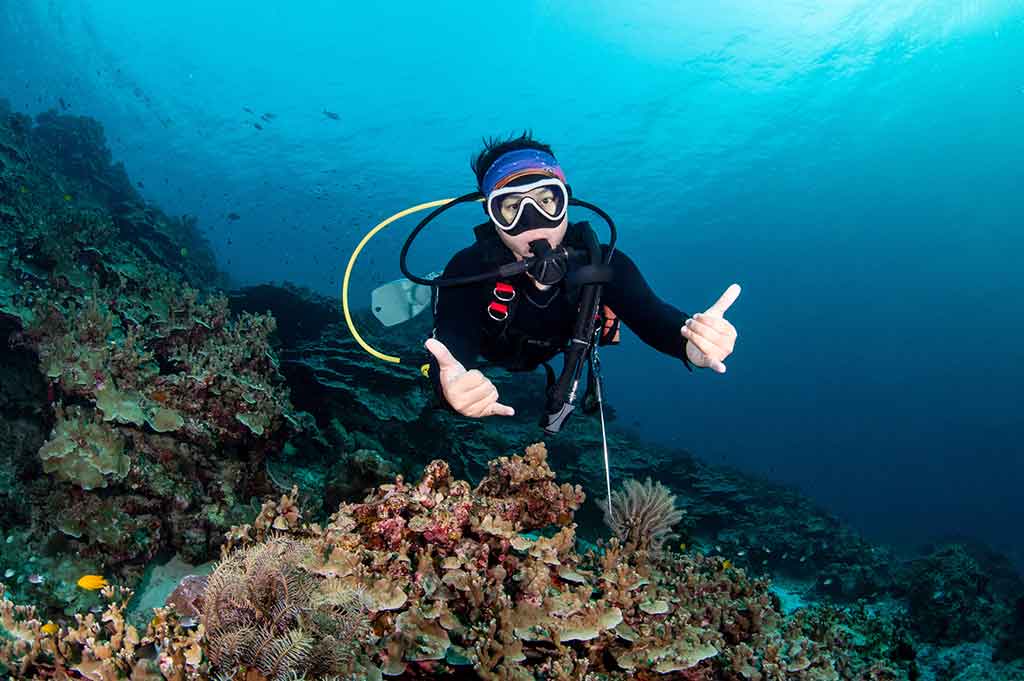 Las mejores actividades acuáticas y puntos de inmersión en La Herradura Buceo En La Herradura