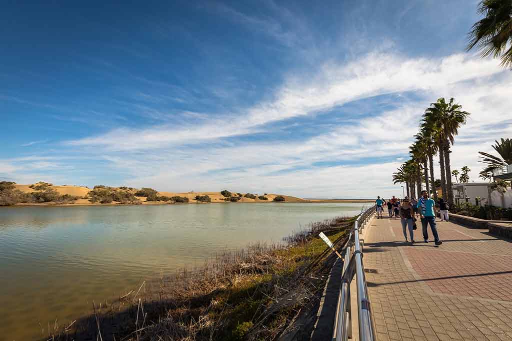 Guía de las Dunas de Maspalomas: tu pequeño Sáhara canario Charca De Maspalomas