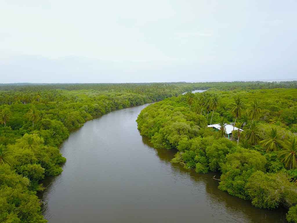 Acapulco: la guía completa para vivir el puerto como nunca Laguna De Tres Palos