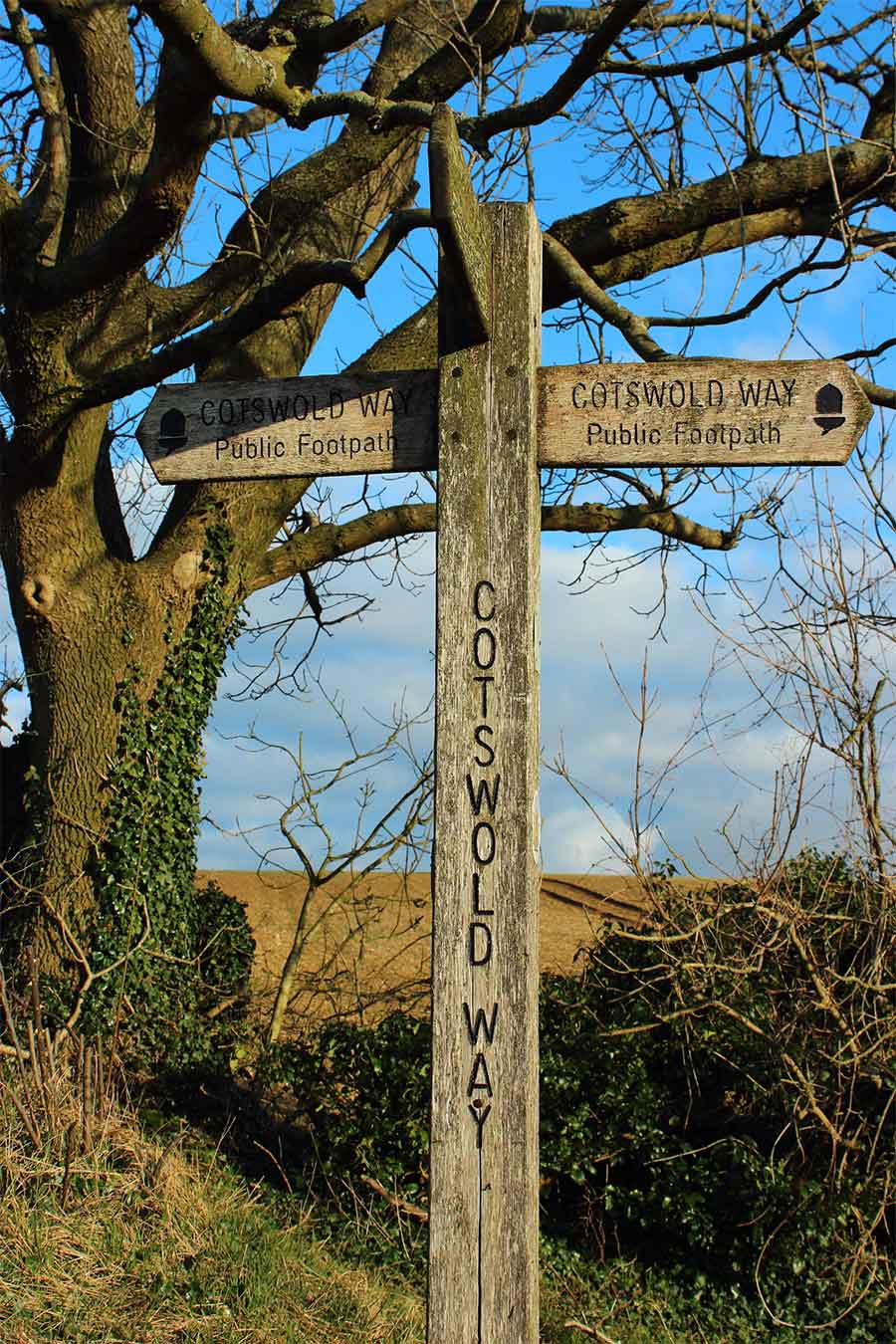 El encanto de los Cotswolds: una guía de viaje definitiva Cotswold Way