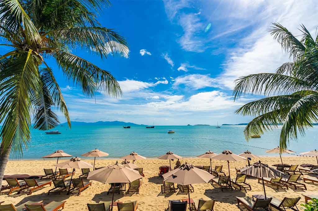 Guía de viaje a Puerto Vallarta: El corazón del Pacífico Mexicano Visitar Puerto Vallarta