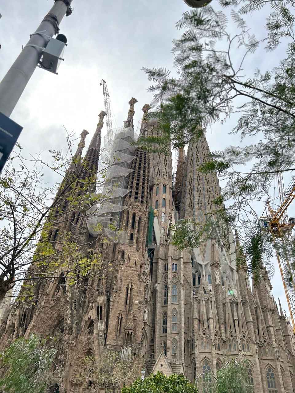 Guía completa de La Sagrada Familia: entradas, historia y qué ver Sagrada Familia En 2026