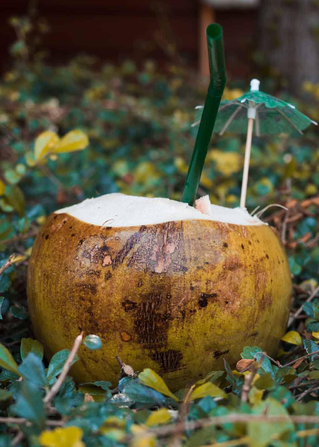 Tahití: descubre el paraíso polinesio | Guía de viaje y cultura Agua De Coco