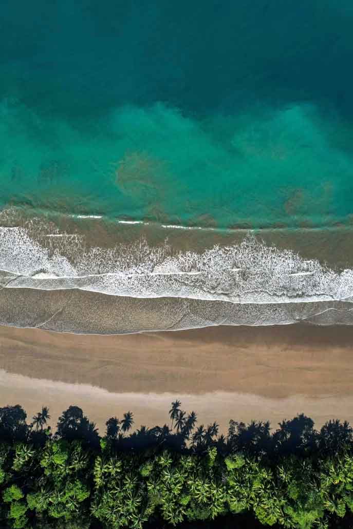 Descubre el encanto de Uvita: la joya escondida de Costa Rica Playas De Uvita