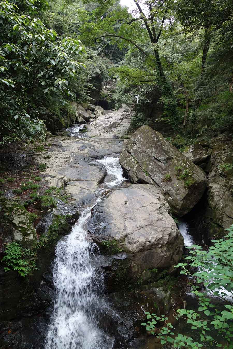 Fragas do Eume, guía completa de rutas, monasterios y consejos para tu visita Que Es Fragas Do Eume