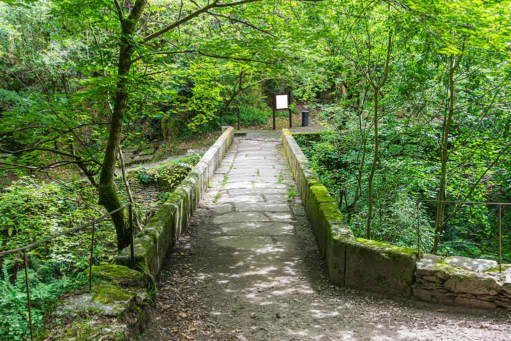 Fragas do Eume, guía completa de rutas, monasterios y consejos para tu visita Planificar Tu Visita A Fragas Do Eume