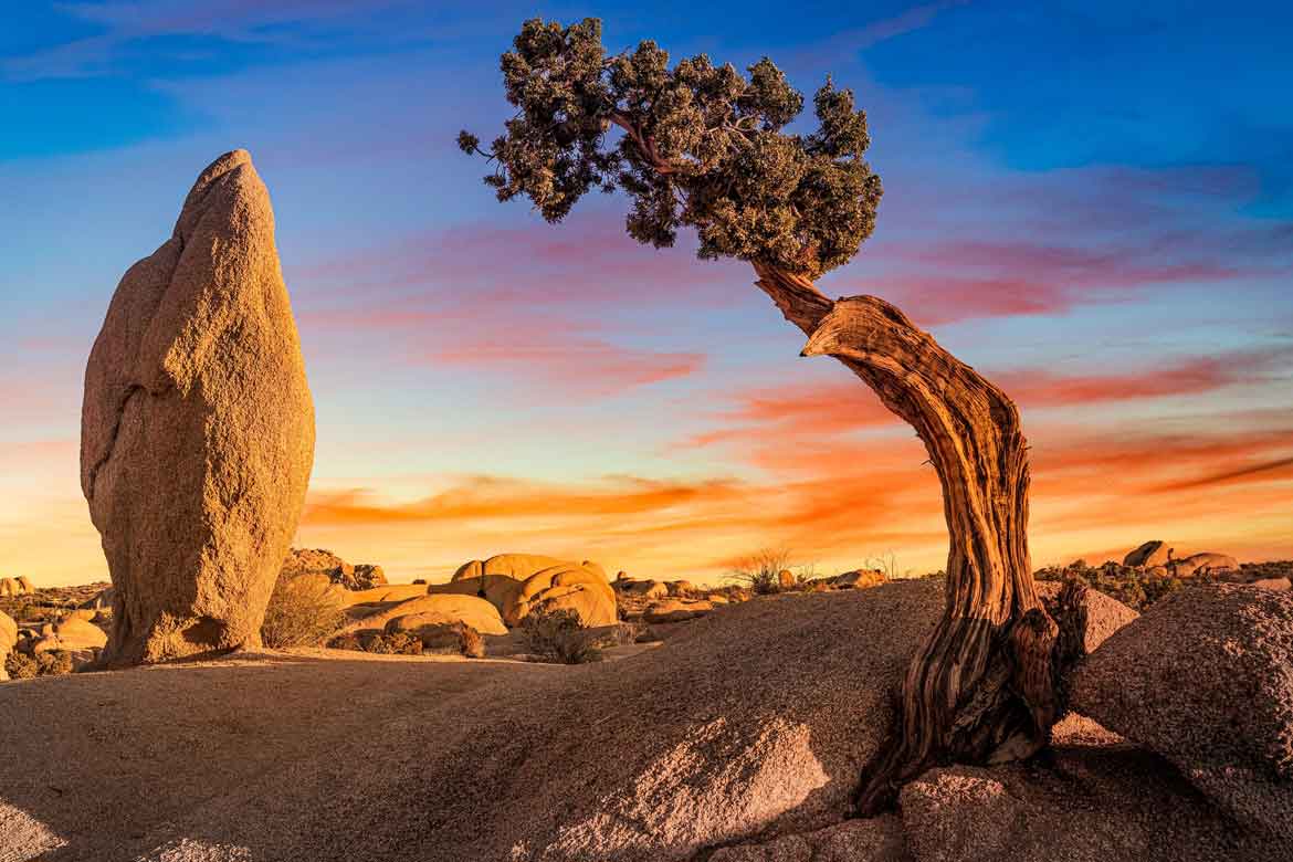 Guía para viajar a Socotra, el archipiélago que parece de otro planeta Curiosidades Sobre Socotra