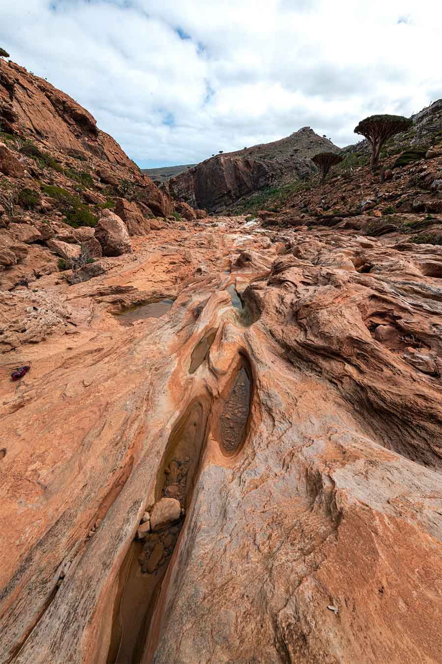 Guía para viajar a Socotra, el archipiélago que parece de otro planeta Que Llevar En La Maleta Para Socotra