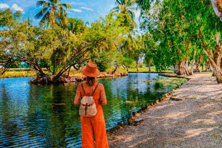 Guyana Guia Completa Para Viajar
