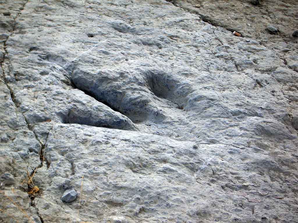 Tierras Altas de Soria: Guía de visita y qué ver Las Icnitas De Dinosaurio