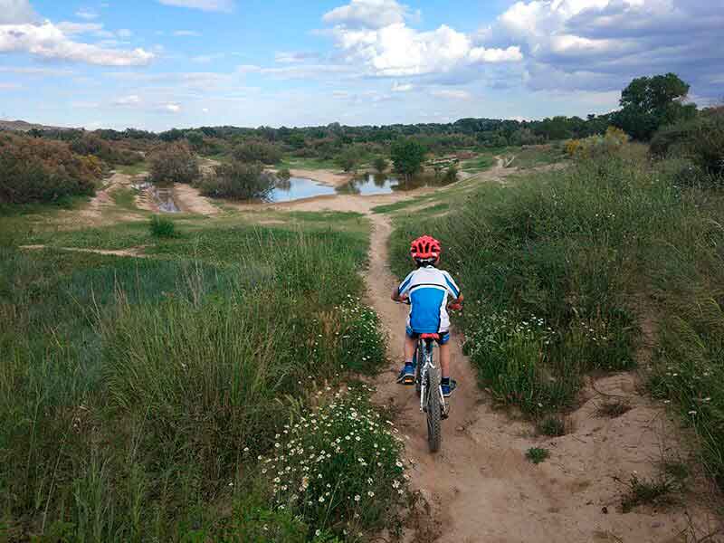 Recorrer Zaragoza en bici: rutas para conocer la ciudad y escaparte al Ebro Rutas En Bici Por Zaragoza Y Alrededores