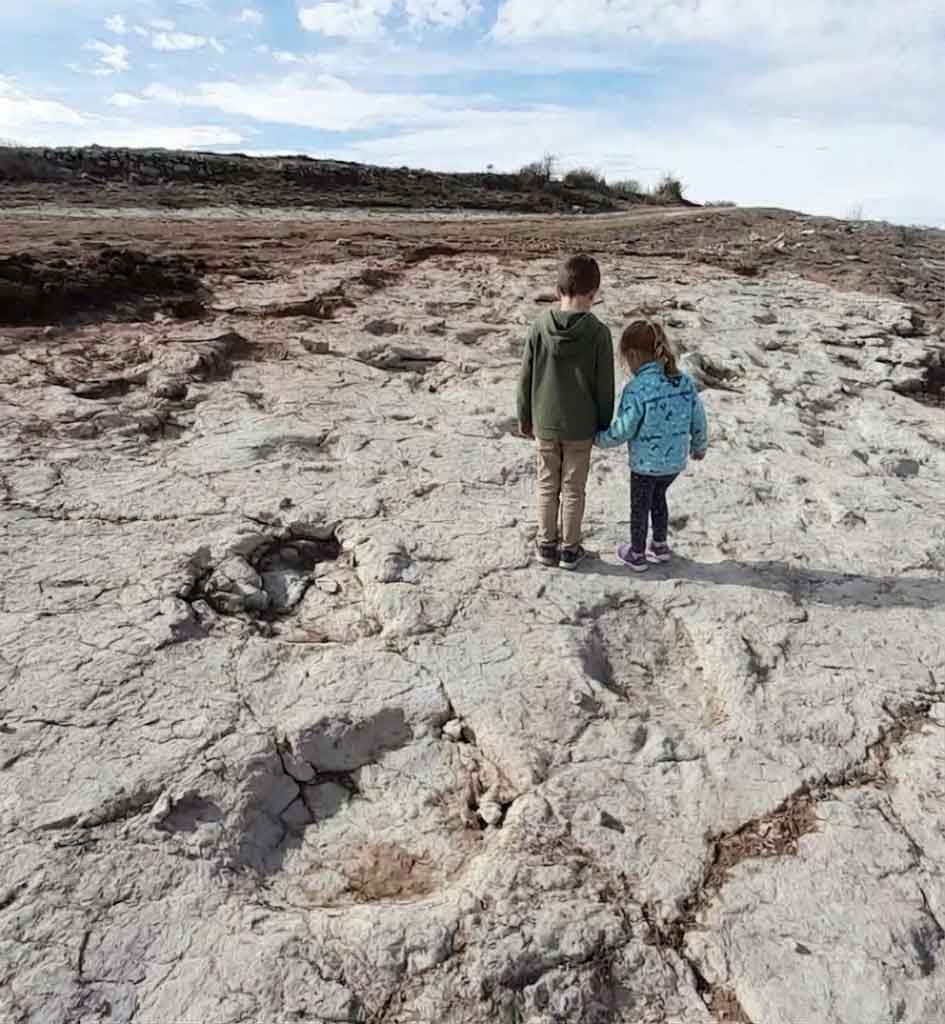 Tierras Altas de Soria: Guía de visita y qué ver Tierras Altas De Soria Con niños