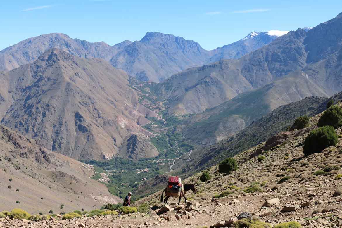 El mejor viaje organizado a Marruecos: ruta por el sur en 8 días Atravesar El Alto Atlas