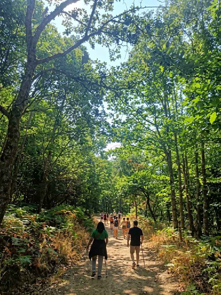 Guía de viaje a la Sierra de Francia: pueblos con encanto, rutas y un itinerario de 3 días El Bosque De Los Espejos